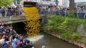 Perdemarkt_20_05_23-3926