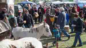 Pferde-_und_Hobbytiermarkte_in_Burgdorf_LtR0sQY.JPG