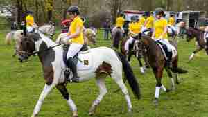 Pferdemarkt_15_04_23-5510