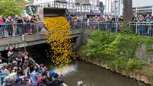 Pferdemarkt_20_05_23-3925-2048x1366