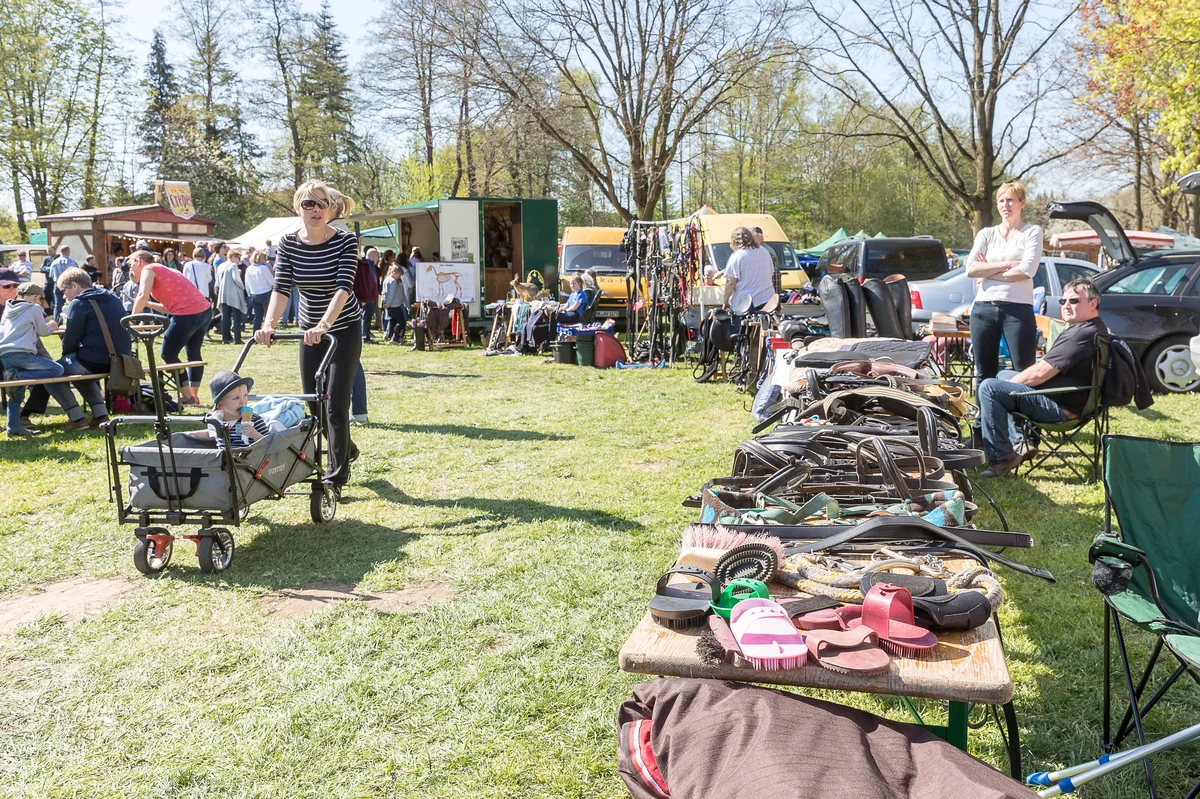 Reiterflohmarkt_am_21._September.width-1200.format-webp